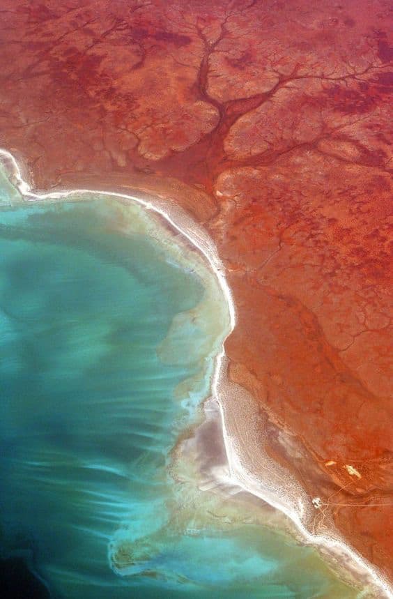 Coastline from above